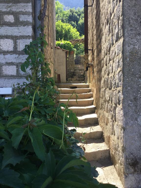 Seven Hills Duplex Eco-Cottage Kotor Kültér fotó